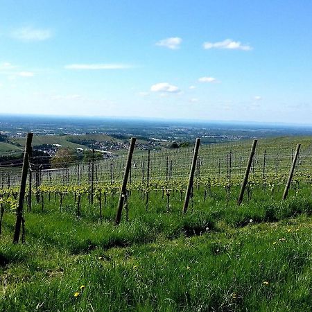 Ferienhof Vordere Alm オーバーキルヒ エクステリア 写真