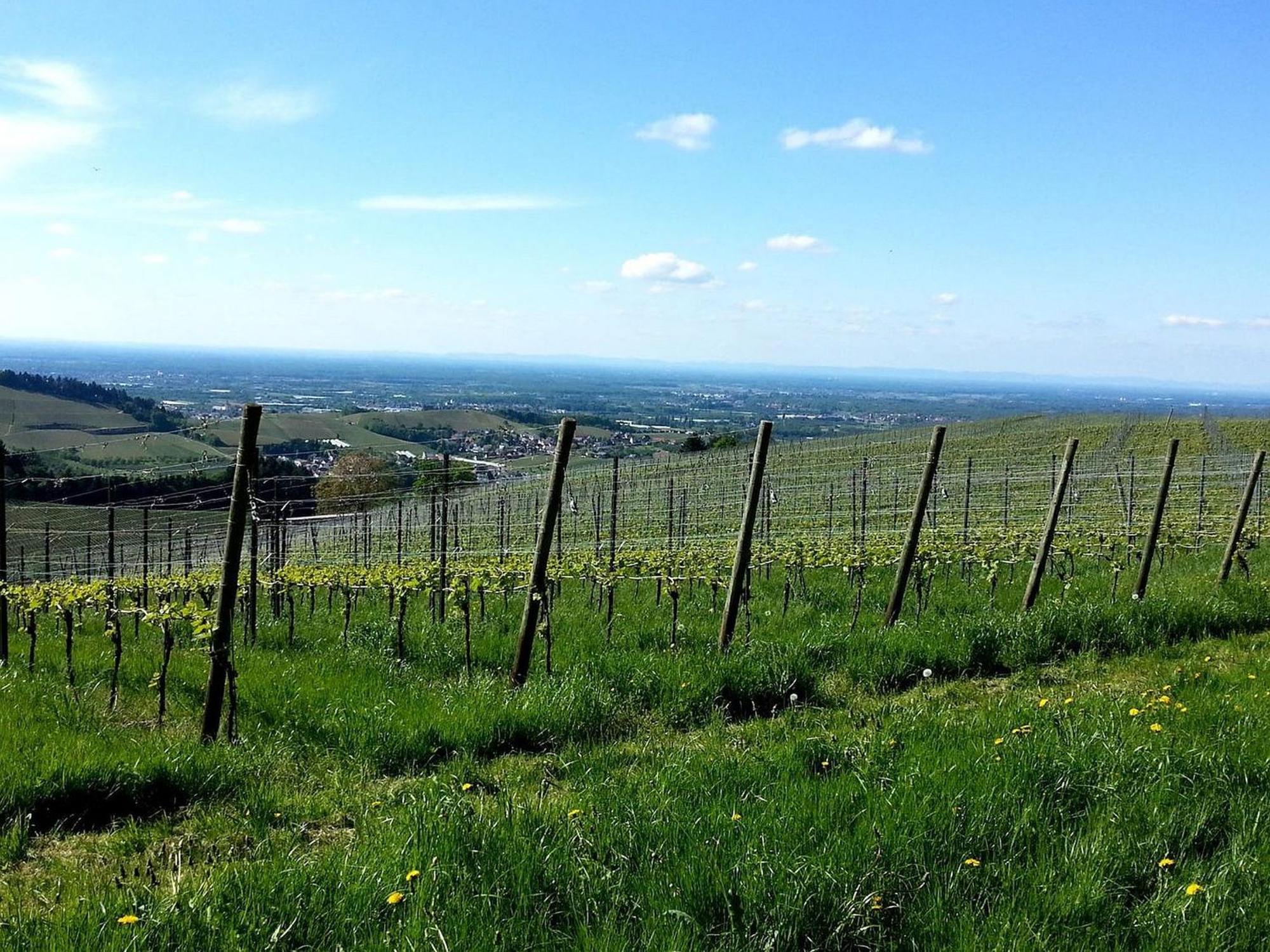Ferienhof Vordere Alm オーバーキルヒ エクステリア 写真