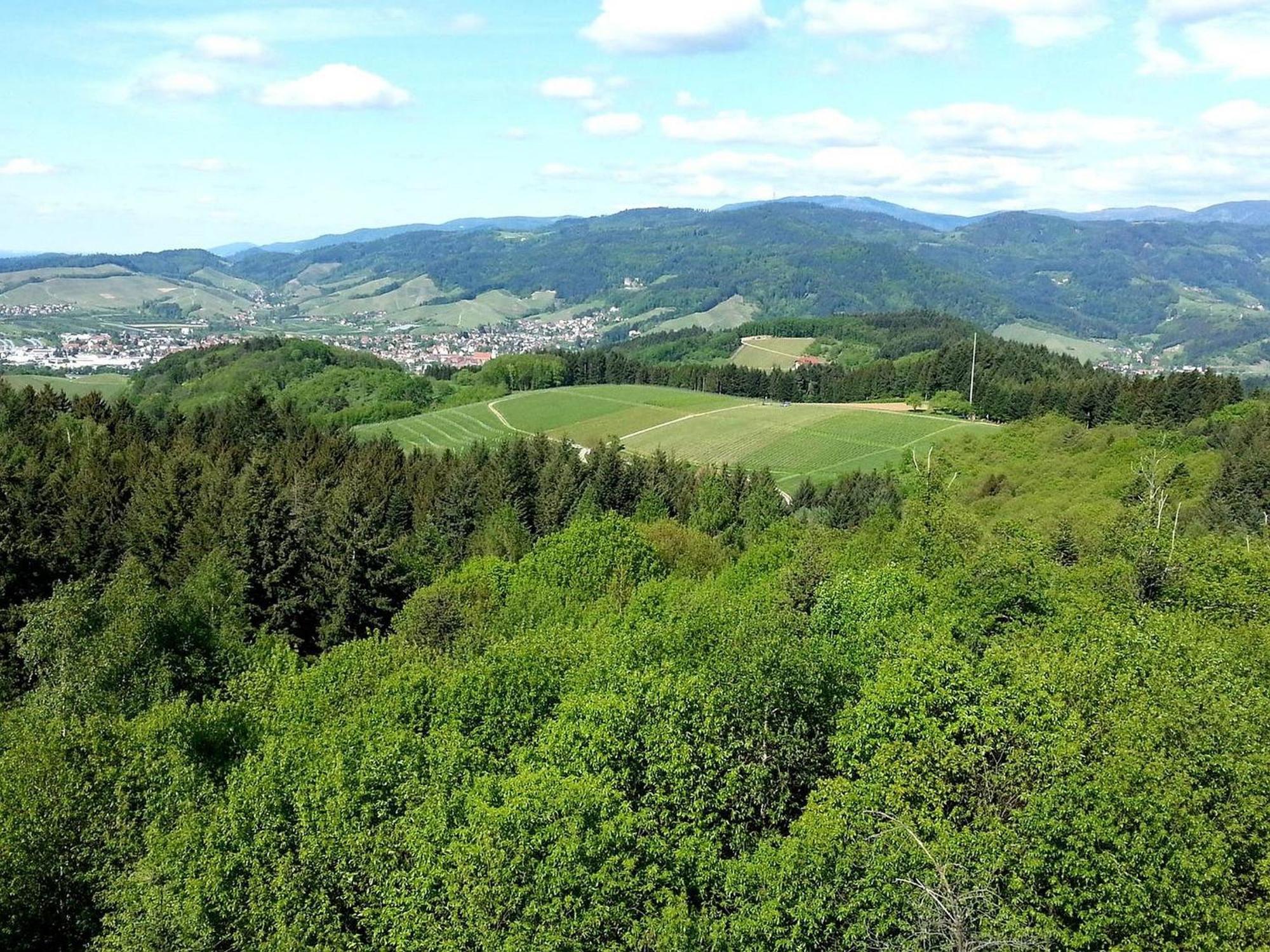 Ferienhof Vordere Alm オーバーキルヒ エクステリア 写真